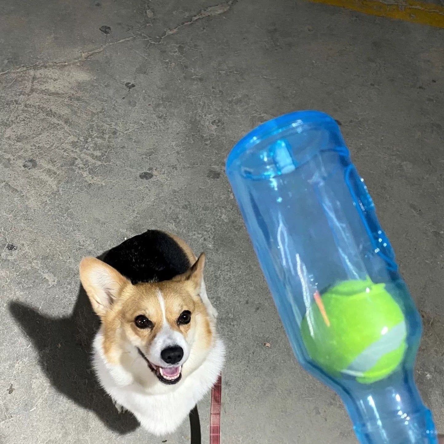 Ecotyn - Chew Bottle Toy
